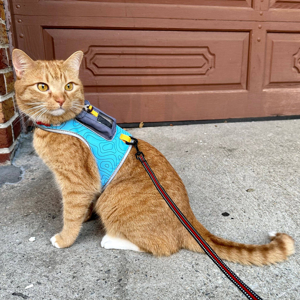 "The Pathfinder" Cat Harness, Leash, & Tractive GPS Device Bundle