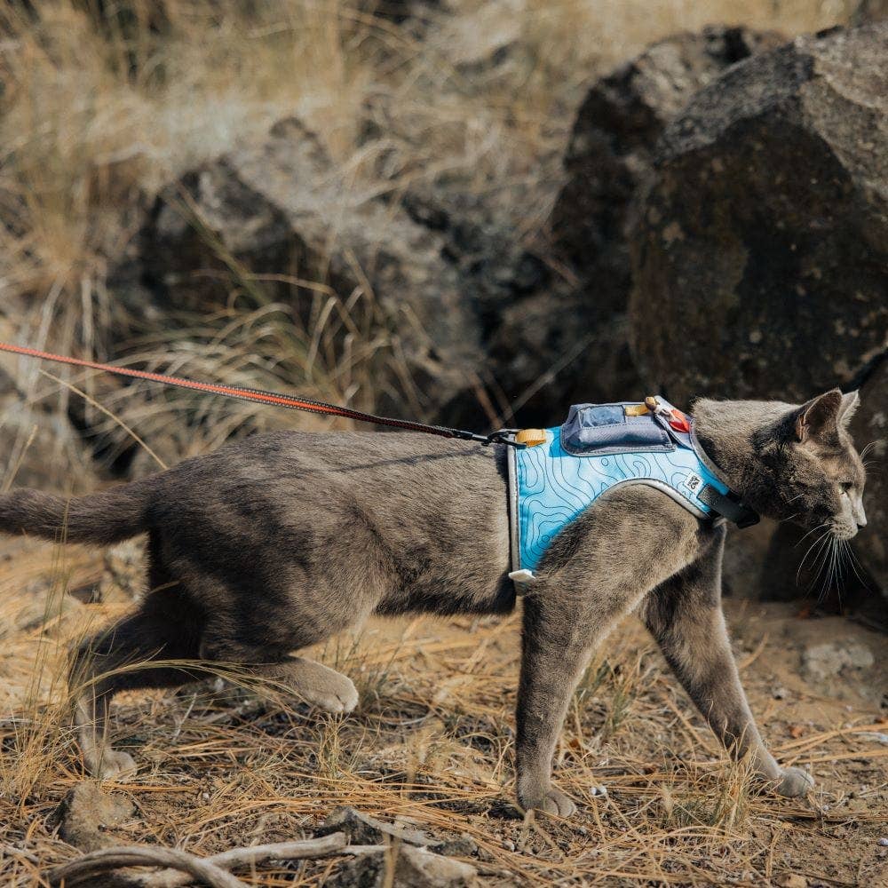 "The Pathfinder" Cat Harness, Leash, & Tractive GPS Device Bundle