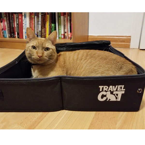 Travel cat shop litter box