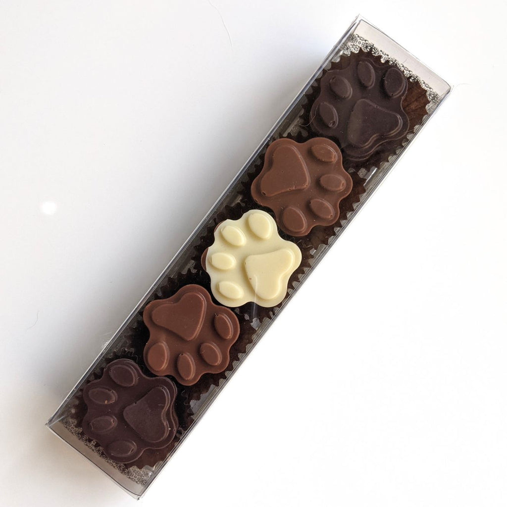 Chocolate paws 5-pack