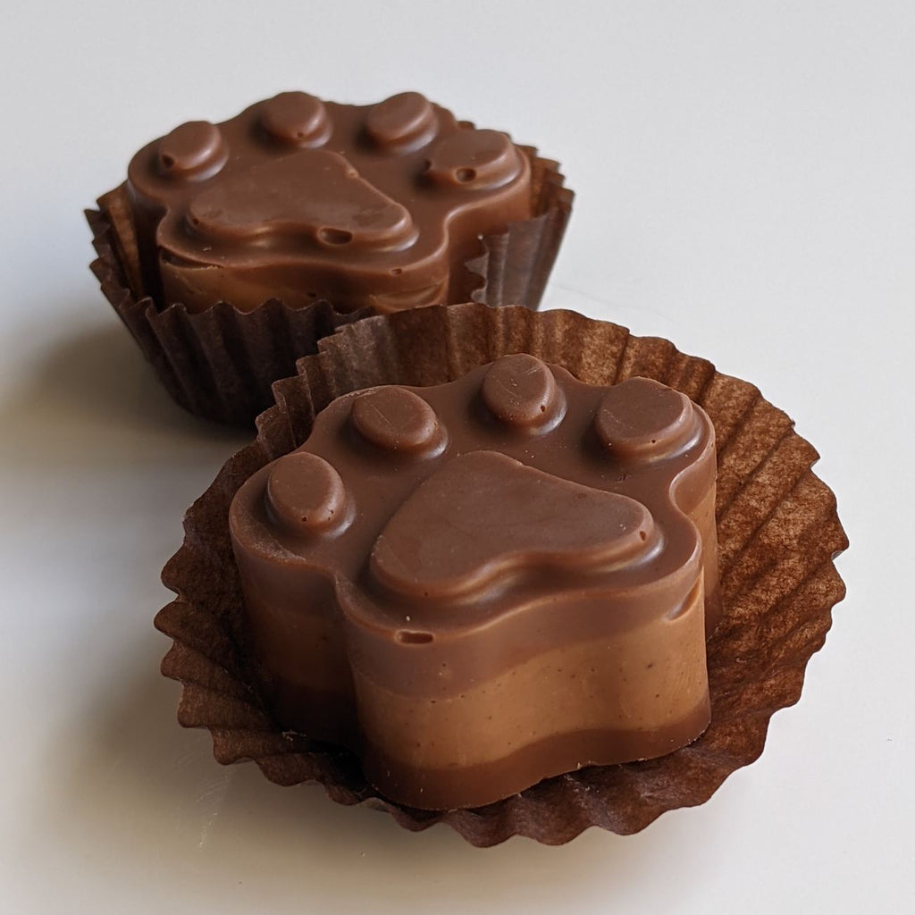 Chocolate paws 5-pack
