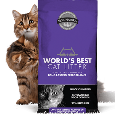World's best multiple cat clumping online cat litter