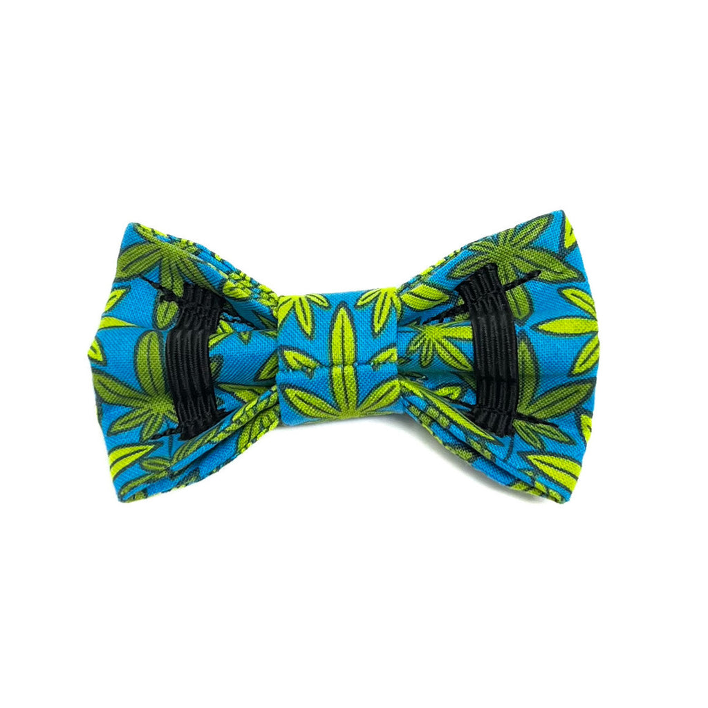 Meowie Wowie Cat Collar with Bow Tie