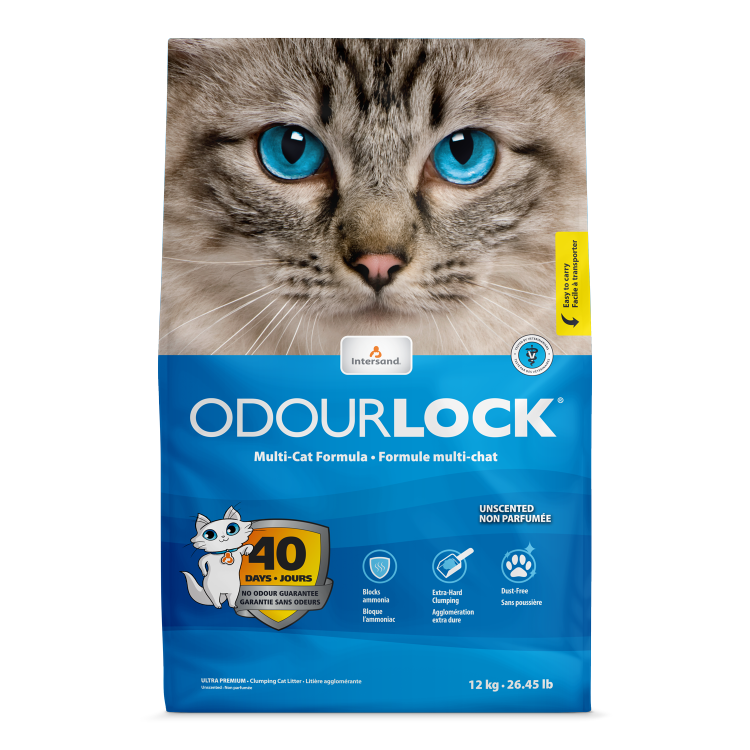 Intersand Odourlock multi-cat clumping litter