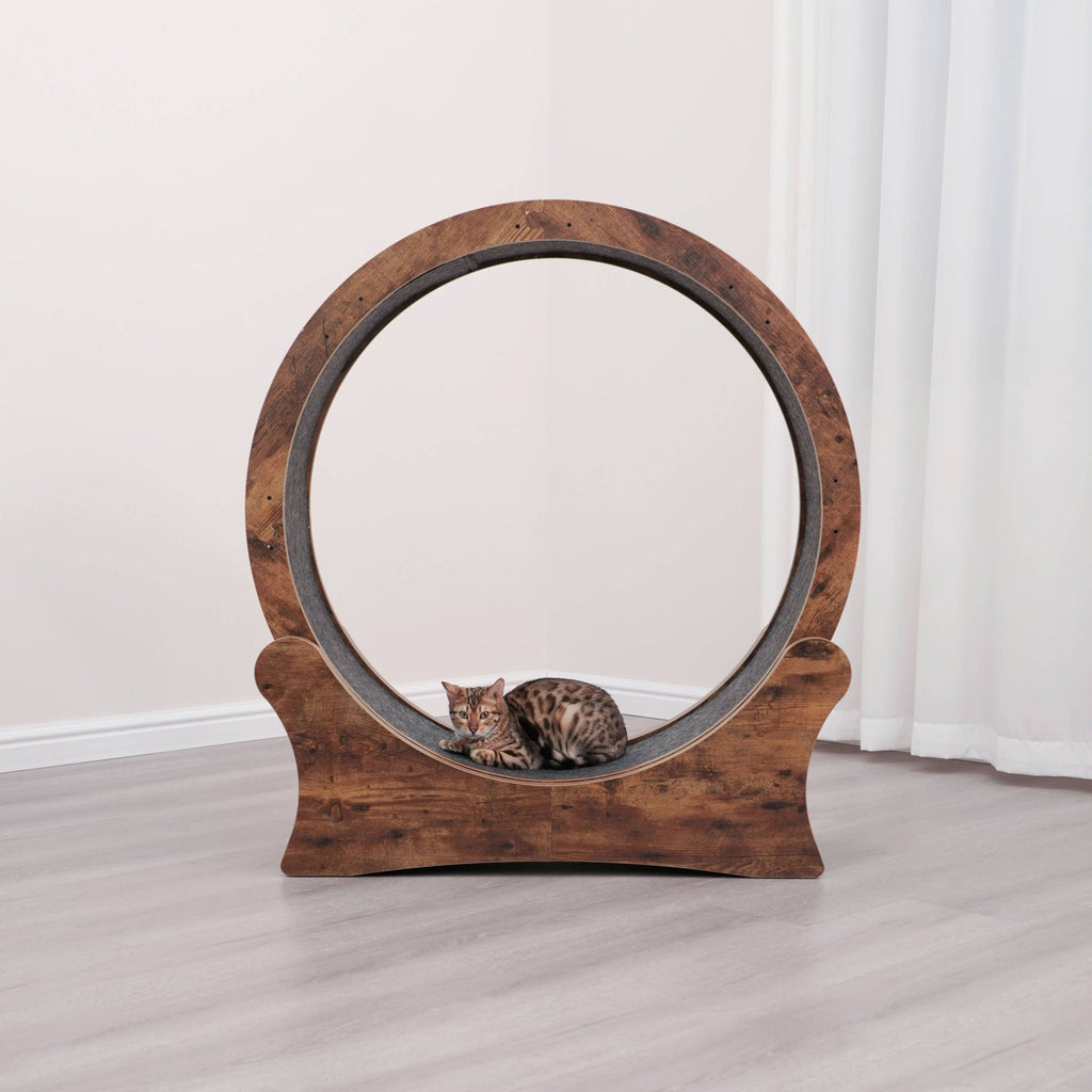 PetPals Rota Modern Exercising Cat Wheel