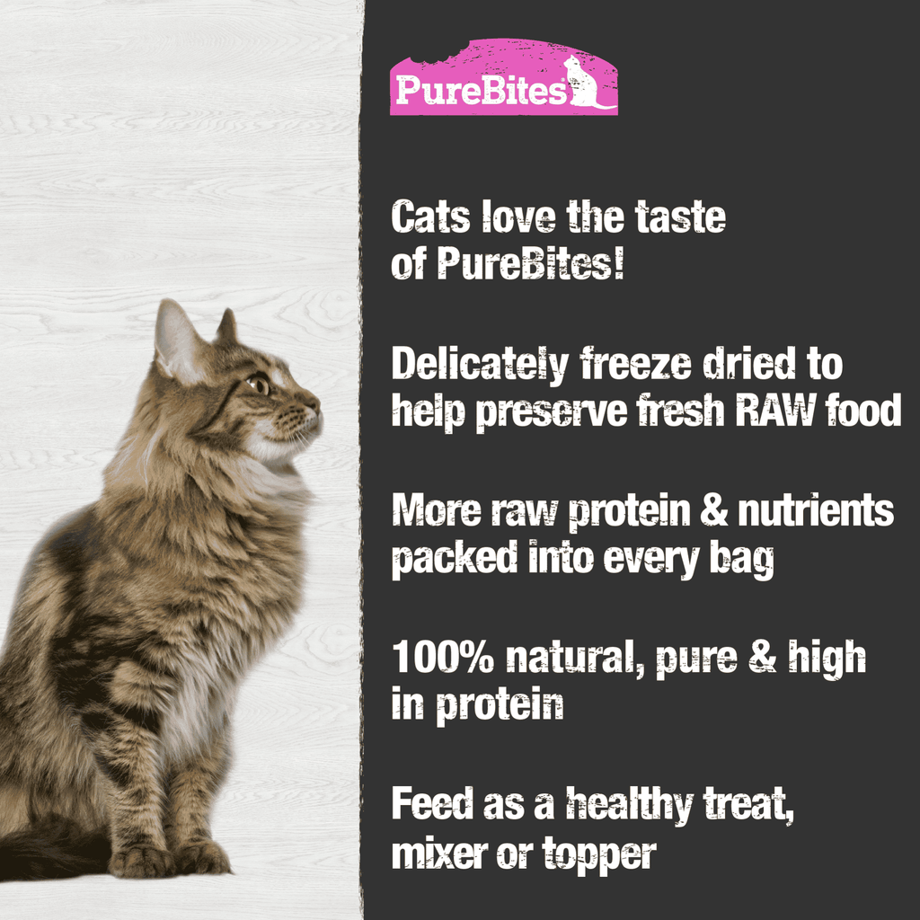 PureBites Freeze-Dried Salmon Cat Treats