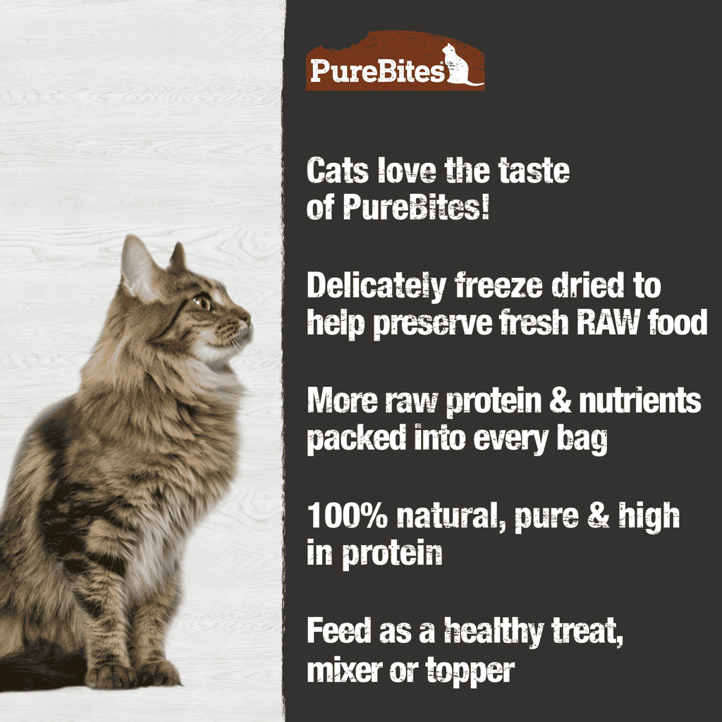 PureBites Freeze-Dried Turkey Cat Treats