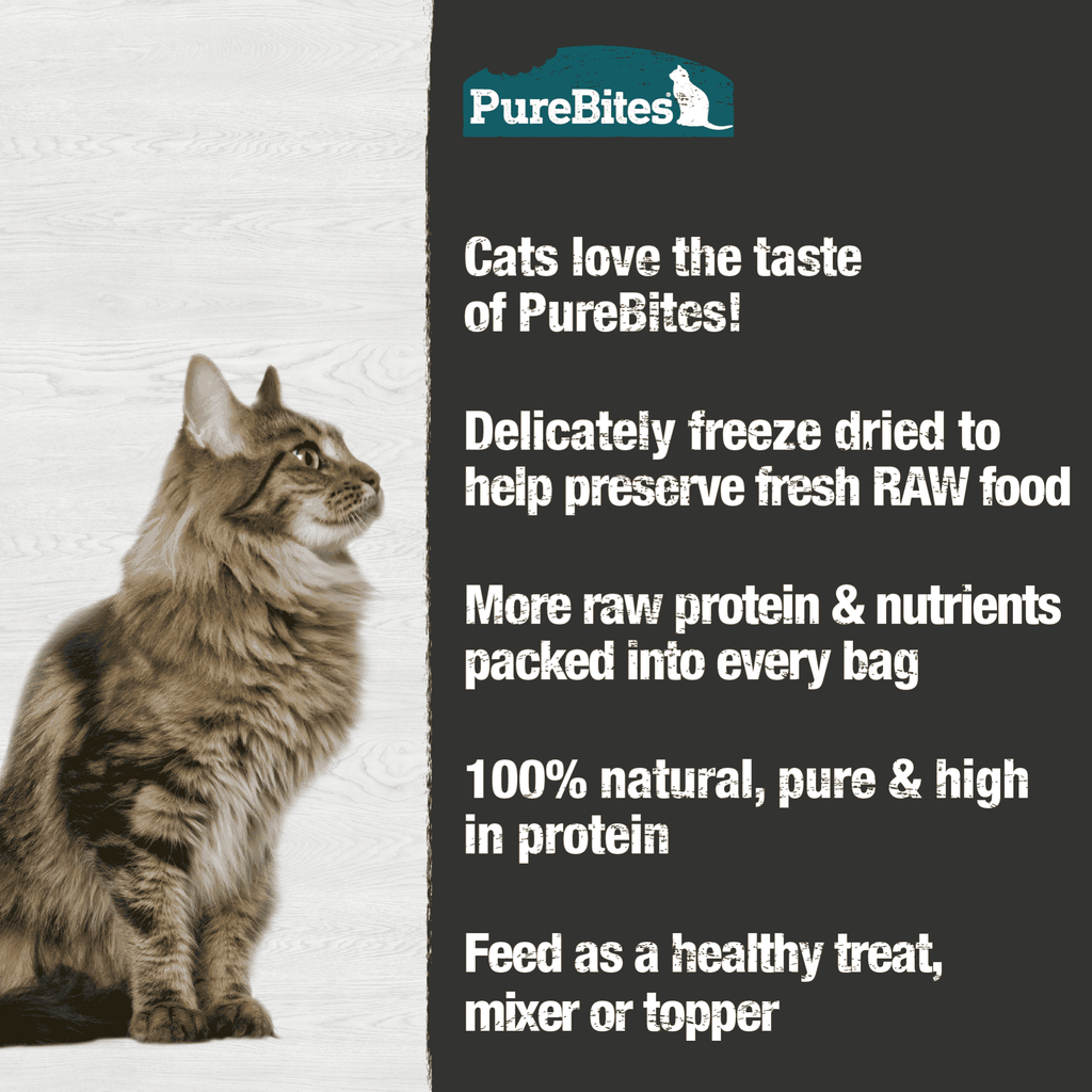PureBites Freeze-Dried Minnow Cat Treats