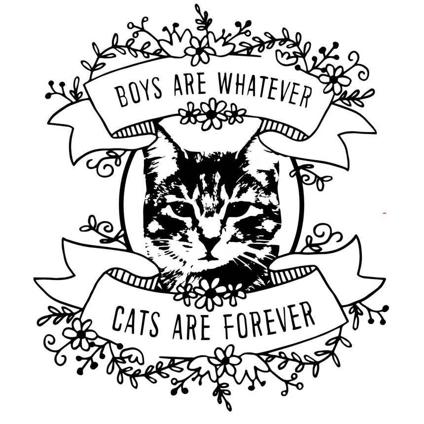 Boys Are Whatever t-shirt