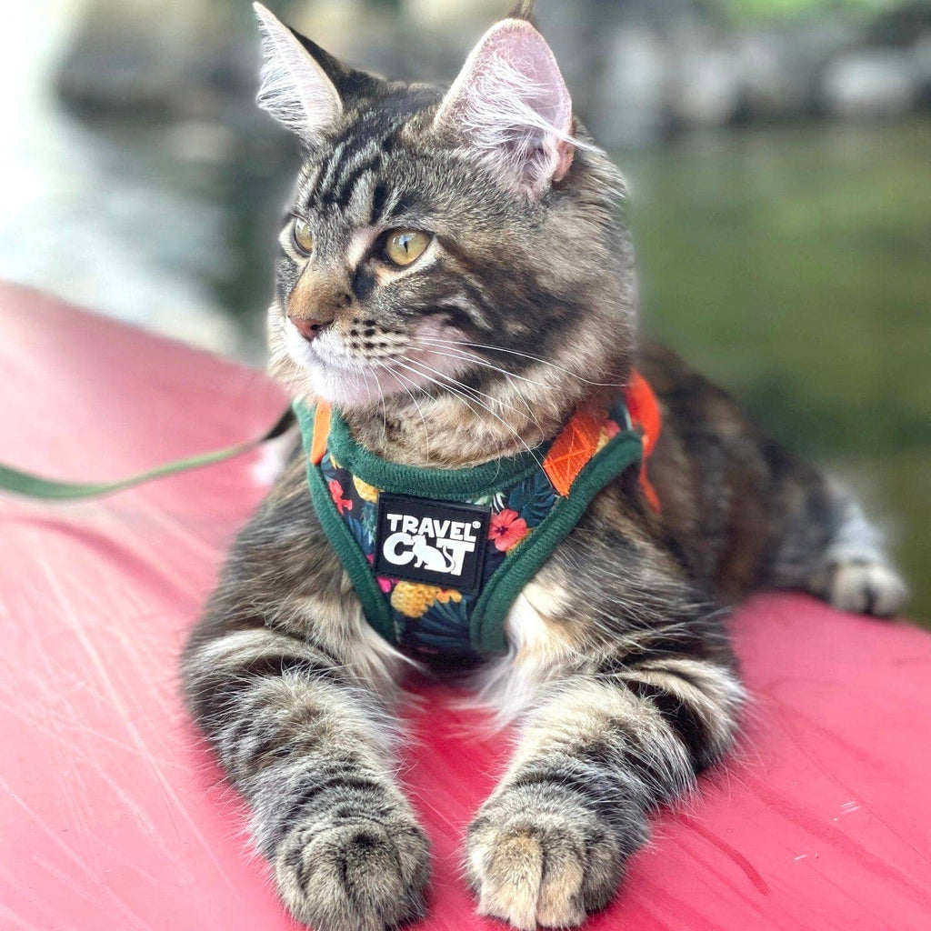 "The Hawaiian Shirt" Cat Harness and Leash Set