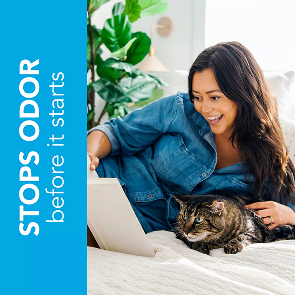 Okocat Original Premium Clumping Wood Cat Litter