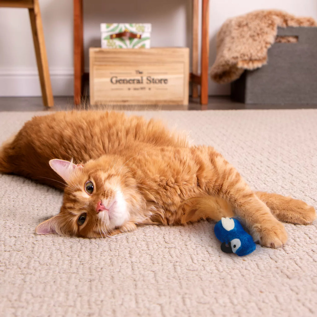 Instincts Chatty Chirp Electronic Sound Catnip and Silvervine Toy