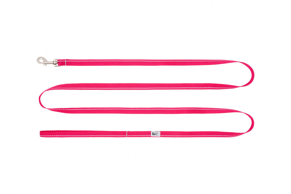 Pink pet leash on a white background