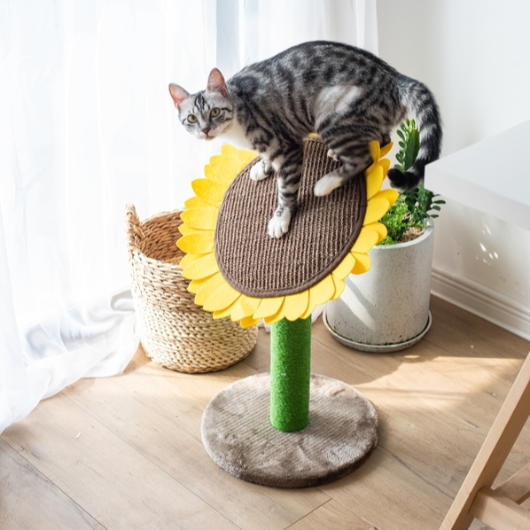 Sunflower Cat Scratcher