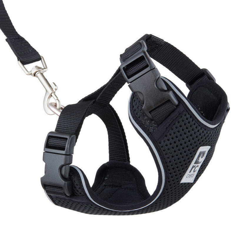 Black cat harness with a leash on a white background