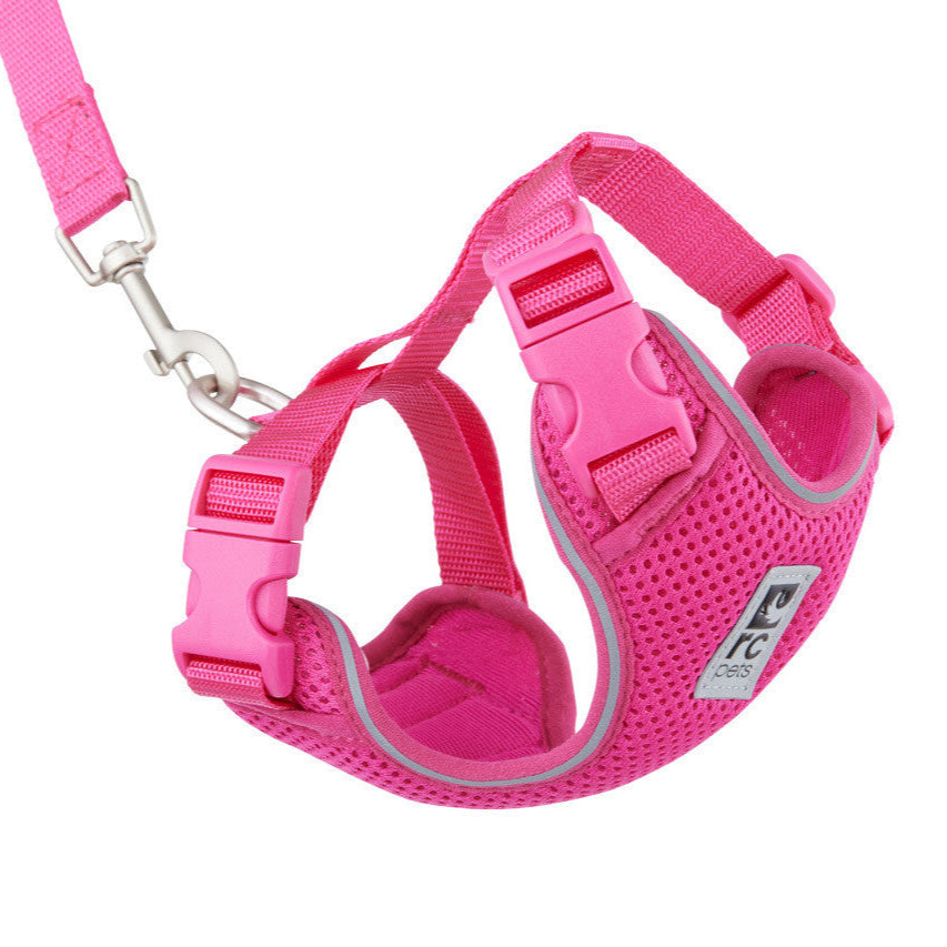 Pink cat harness with a leash on a white background