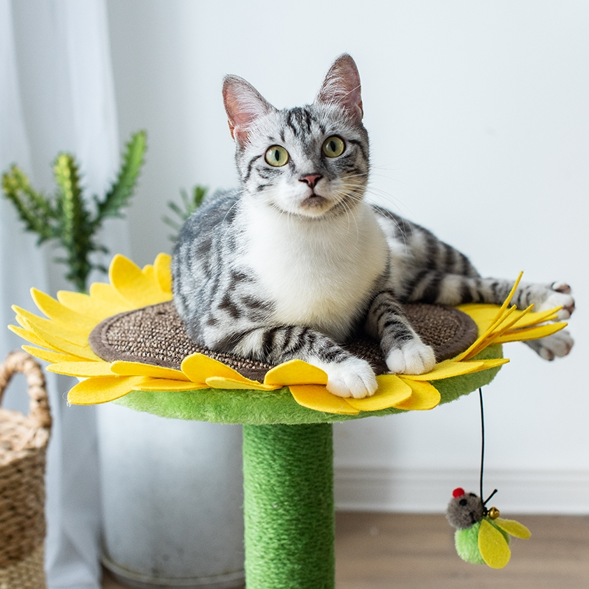 Sunflower Cat Scratcher