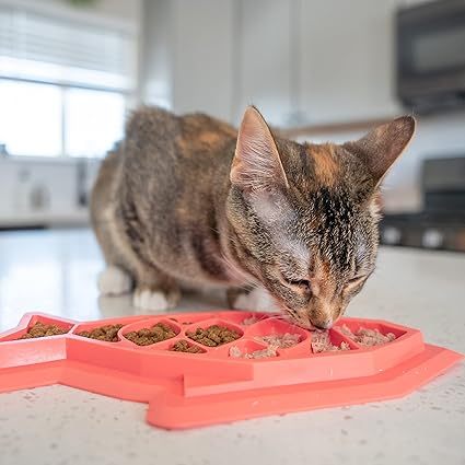 Fishie Fun Feed Mat Slow Feeder Cat Dish