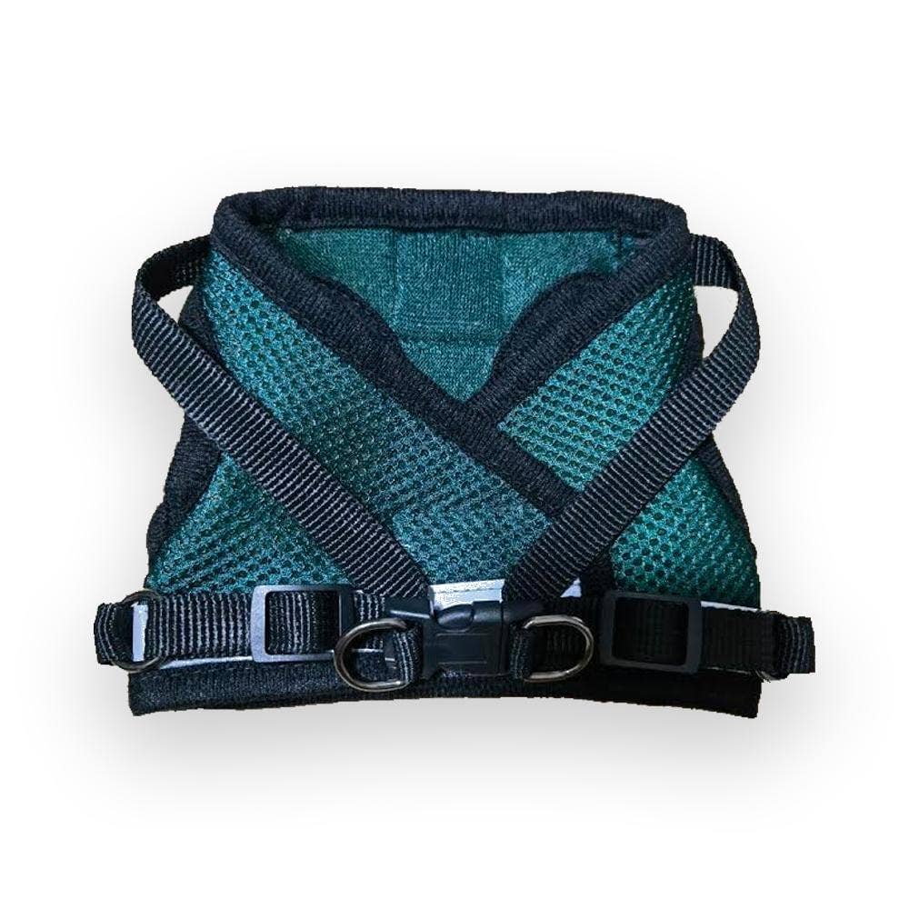 "The Emerald Explorer" Green Cat Harness & Leash Set