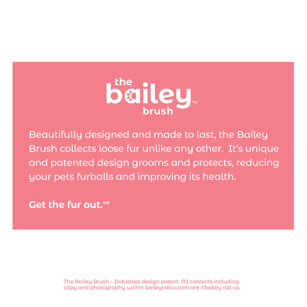 The Bailey Brush Silicone Cat Brush
