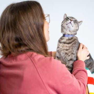 Person holding a gray cat with a white background
