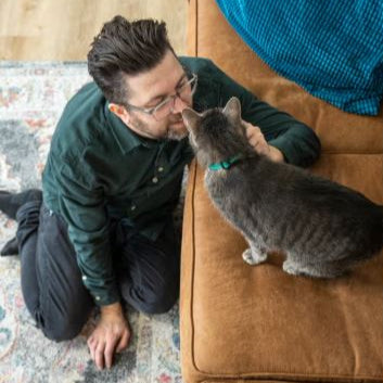 Man kneeling on the floor next to a brown couch, interacting with a gray cat.