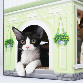 Cat house with a black and white cat peeking out