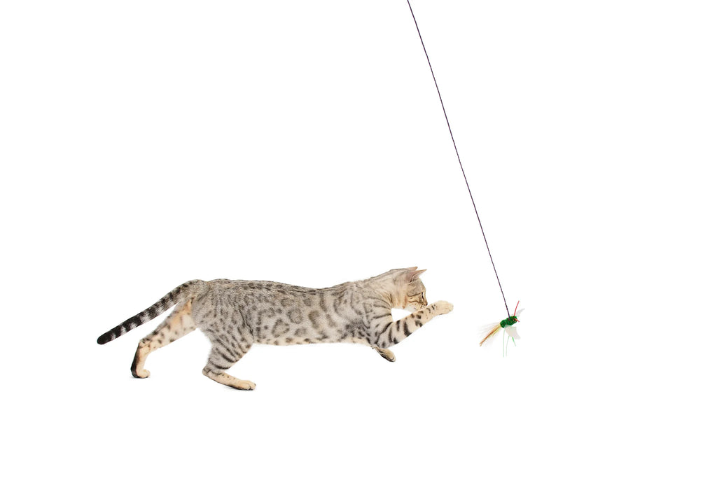 Rompicatz Critter Collector BugzBird Attachment for Classic Rod Wand Cat Toy