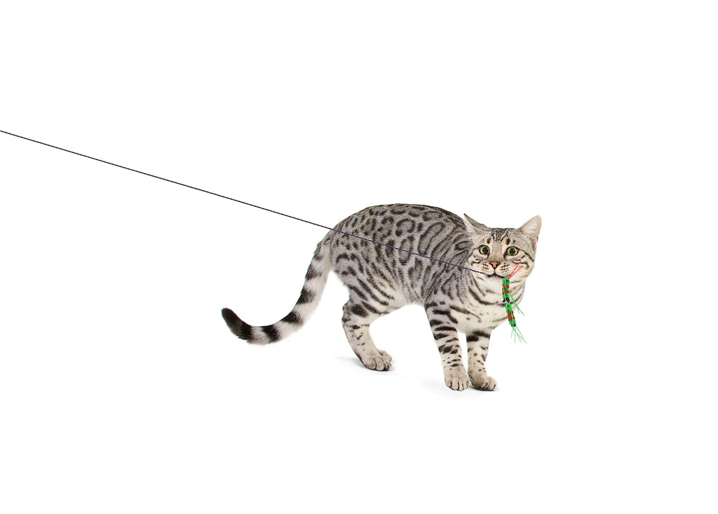 Rompicatz Critter Collector Cattipeed Attachment for Classic Rod Wand Cat Toy