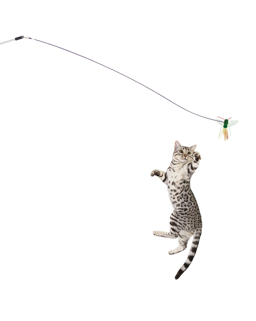 Rompicatz Critter Collector BugzBird Attachment for Classic Rod Wand Cat Toy