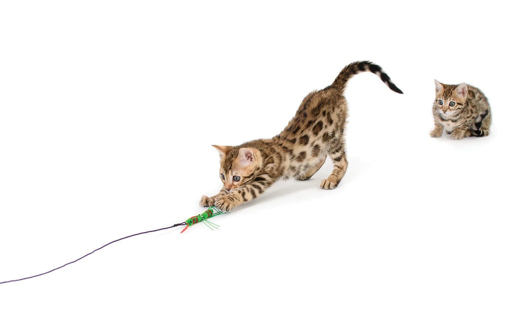 Rompicatz Critter Collector Cattipeed Attachment for Classic Rod Wand Cat Toy