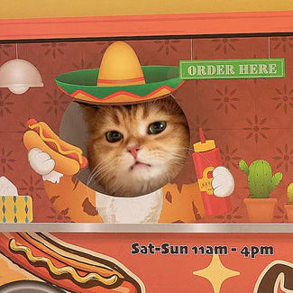 Close-up of a cat peeking its head through a window of a cardboard hot dog truck