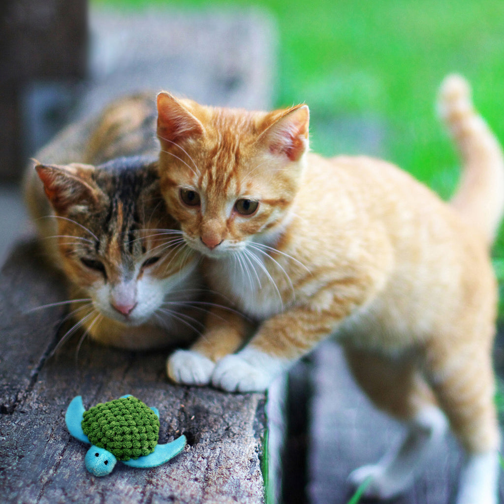 KONG Turtle Refillable Catnip Toy