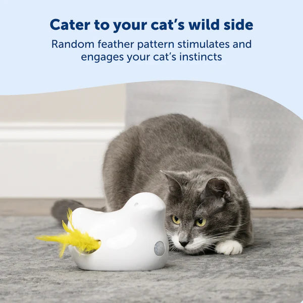 PetSafe Peek-A-Bird Automatic Electronic Interactive Teaser Cat Toy