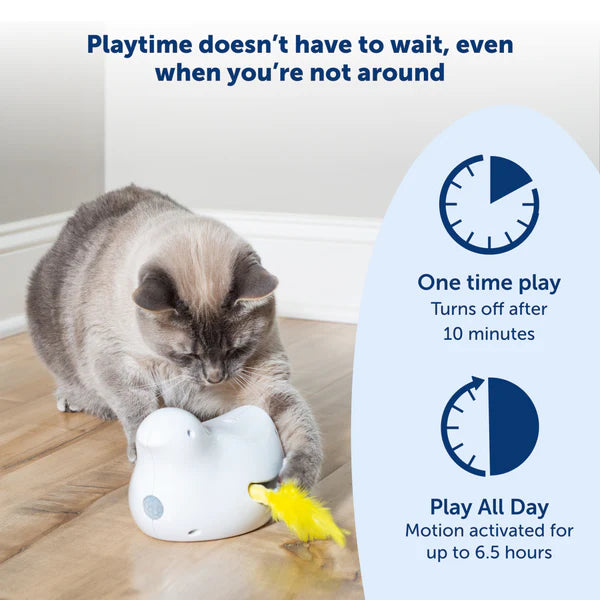 PetSafe Peek-A-Bird Automatic Electronic Interactive Teaser Cat Toy