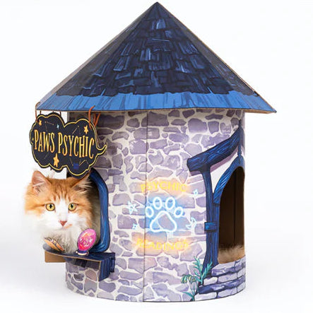 An orange and white cat peeking out of a cardboard fortune-telling booth