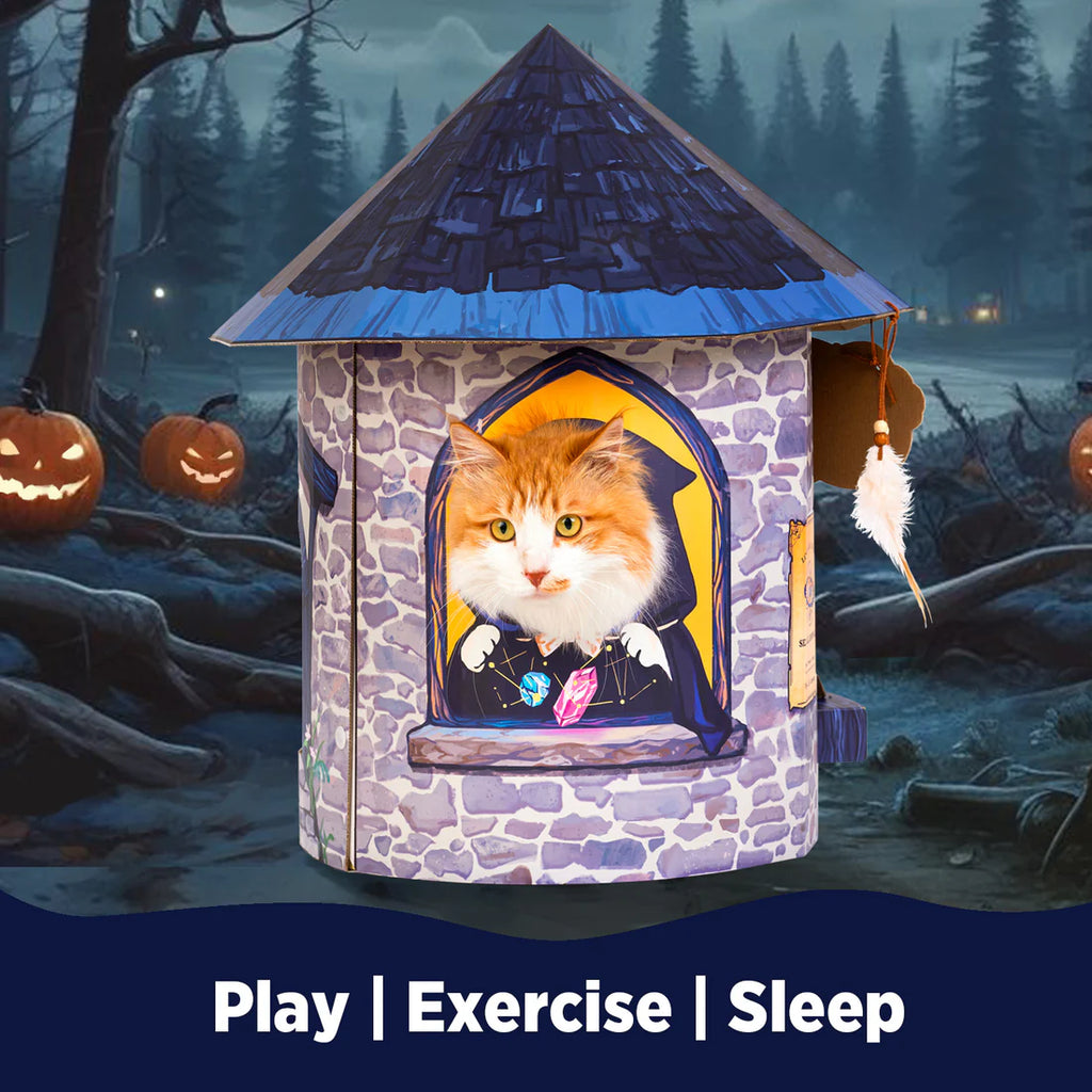 Smile Paws Psychic Fortune Teller Booth Cardboard Cat Scratcher House