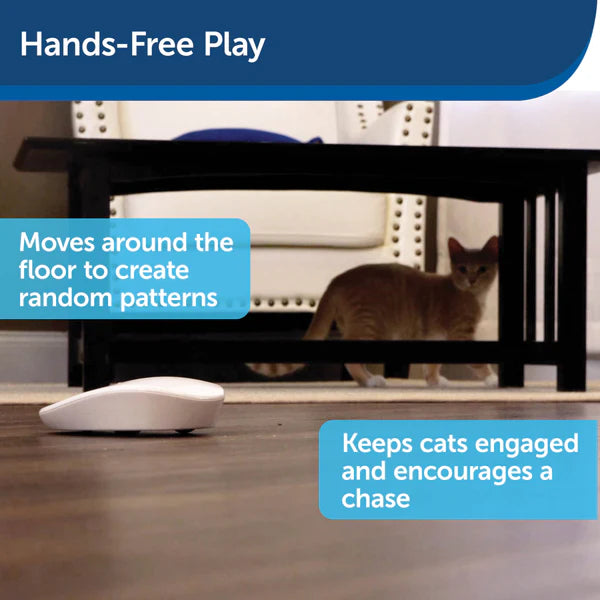 PetSafe Laser Tail Automatic Electronic Interactive Cat Toy