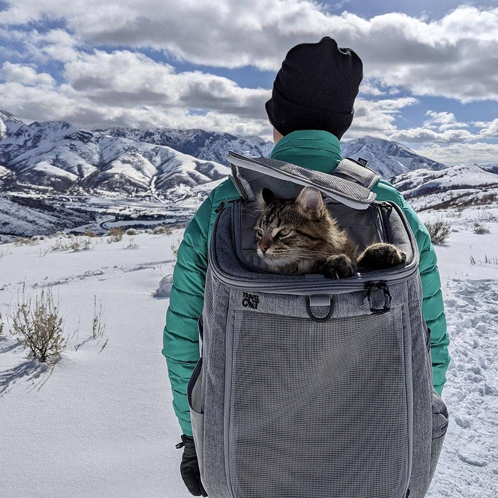 Hiking cat backpack on sale