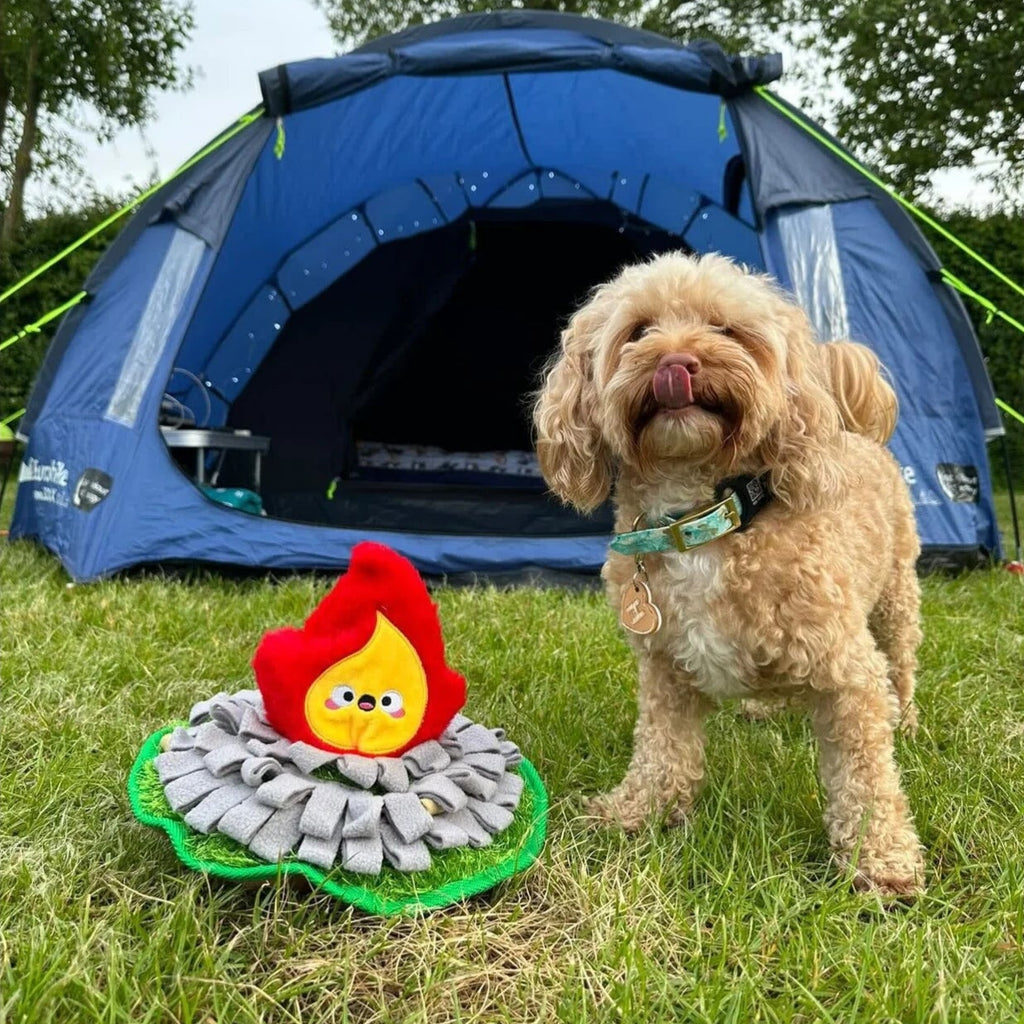 Dog standing next to a blue tent with a fire-themed toy on grass