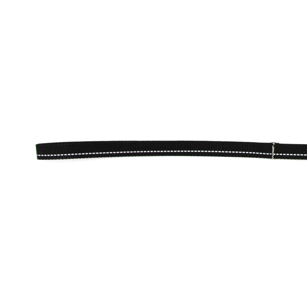 Black pet leash on a white background