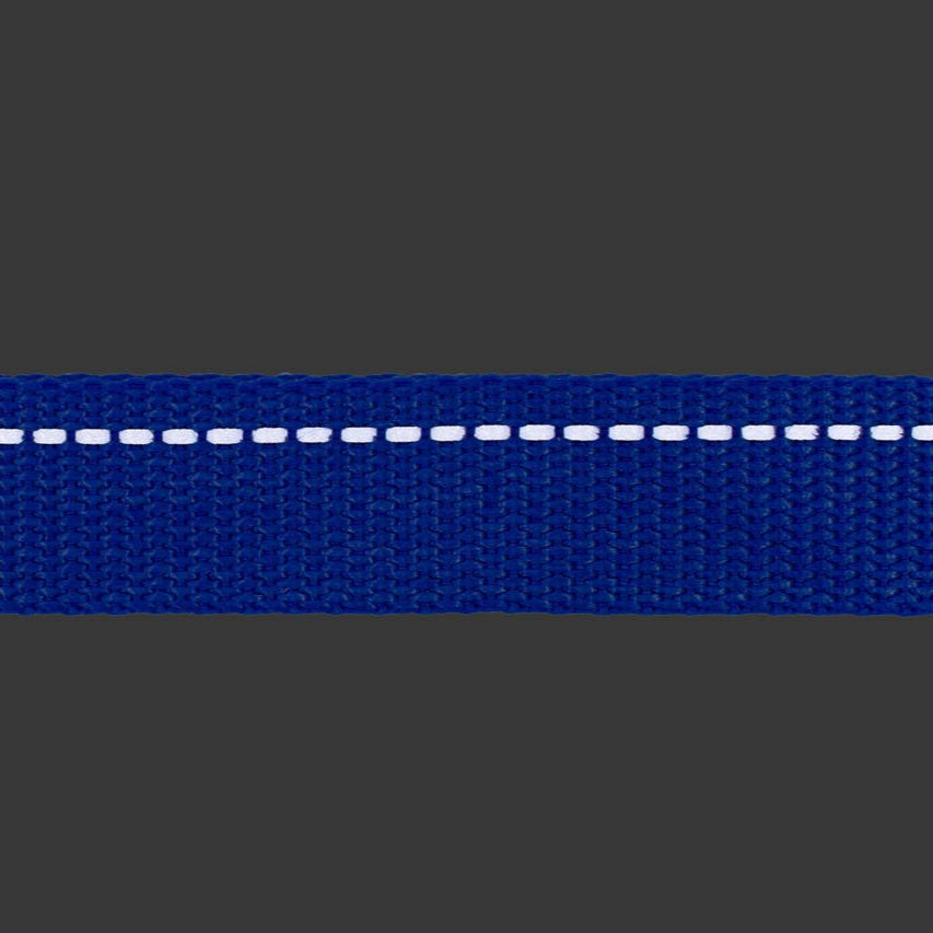 Close-up of a blue pet leash with white stitching on a grey background