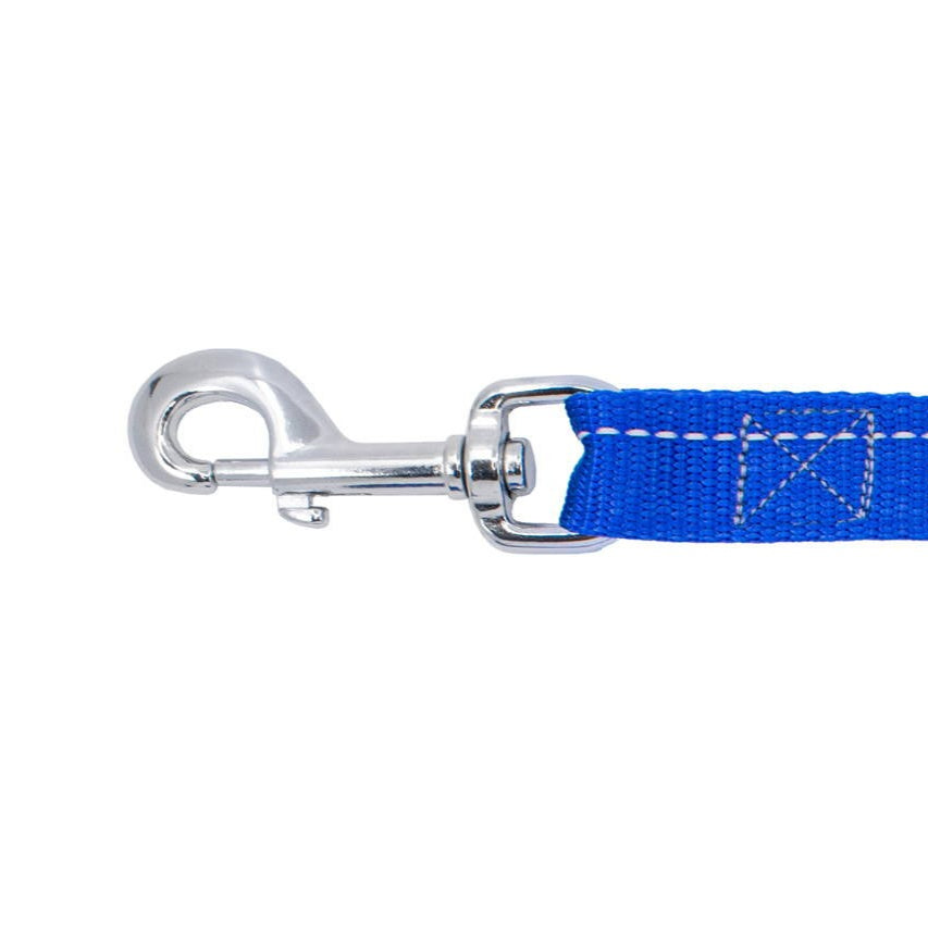 Blue cat leash with silver clip on a white background