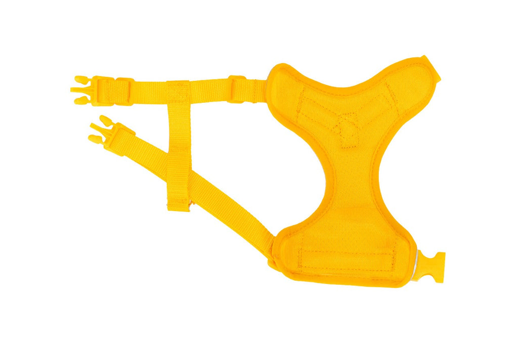 Yellow cat harness on a white background