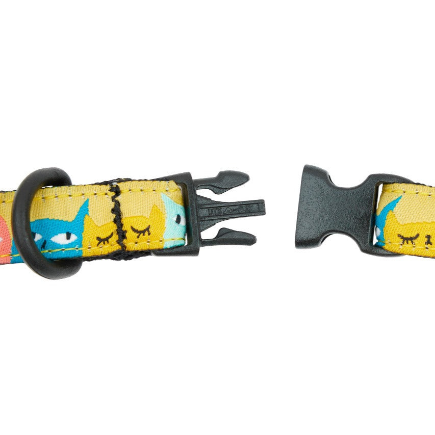 Cat collar with colorful cat pattern on a white background