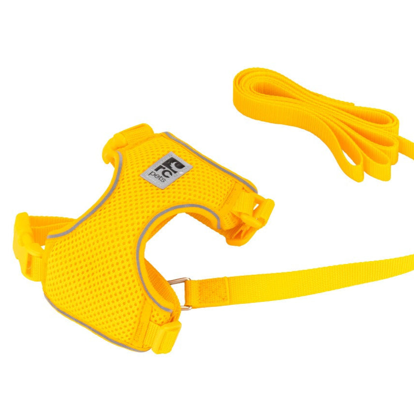 Yellow cat harness and leash set on a white background