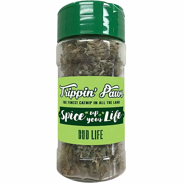 Spice of Life Bud Life Catnip Buds