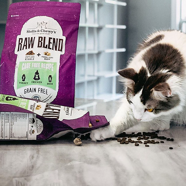 Stella & Chewy's Raw Blend Kibble Cage-Free Recipe