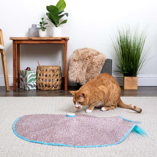 Electronic Motion Concealed Wand Cat Toy