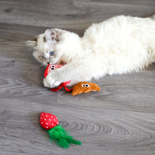 Kitty Croissant Strawberry Jam Catnip Toy 3pk